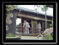 244 Kyoto Shrirakawa Minami Dori 