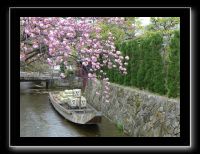 245 Kyoto Takase River