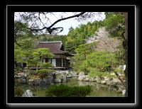 247 Kyoto Temple d'Argent 