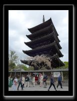250 Kyoto Yasaka Pagode 