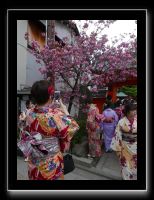 252 Kyoto Yasaka Pagode 
