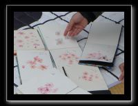 257 Kyoto Yasaka Shrine 