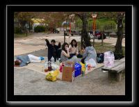259 Kyoto Yasaka Shrine 