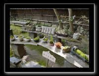 025 Kyoto Arashiyama Gio-ji  modèles de mousse
