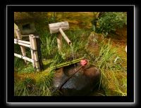 026 Kyoto Arashiyama Gio-ji 