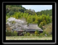 027 Kyoto Arashiyama Gio-ji  quartier alentour