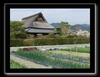 029 Kyoto Arashiyama Gio-ji quatier alentour maison en toit de chaume