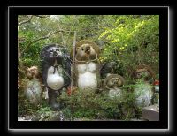 039 Kyoto Arashiyama Jojakko-ji