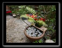 040 Kyoto Arashiyama Jojakko-ji