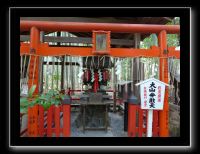 044 Kyoto Arashiyama Tenryu-ji