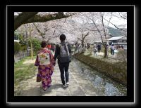 050 Kyoto chemin de la philosophie 