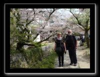 052 Kyoto chemin de la philosophie  les vedettes