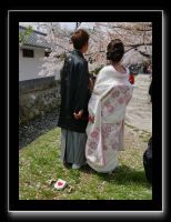 055 Kyoto chemin de la philosophie  ensemble pour le meilleur... mais sous le cerisier