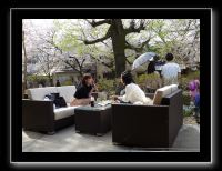 061 Kyoto chemin de la philosophie