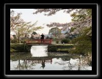 006 Kyoto Arashiyama Daikaku-ji 