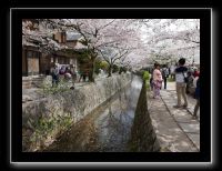 074 Kyoto chemin de la philosophie 