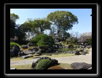 082 Kyoto Daigo-ji contemplation