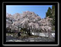 083 Kyoto Daigo-ji