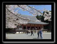 087 Kyoto Daigo-ji 