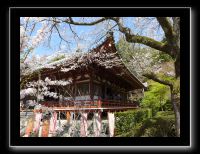 090 Kyoto Daigo-ji 