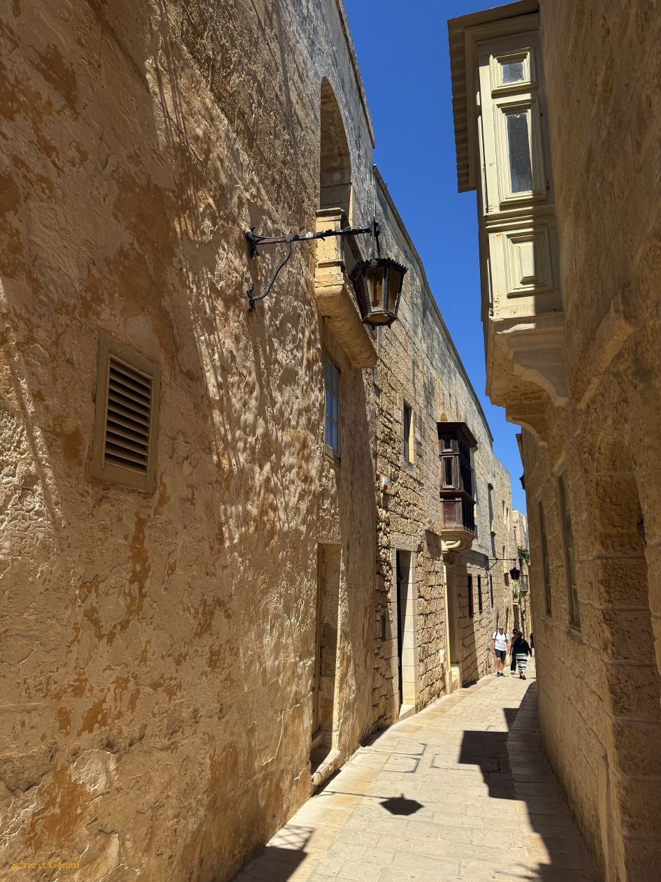 144 Mdina dans la ville IMG_1532