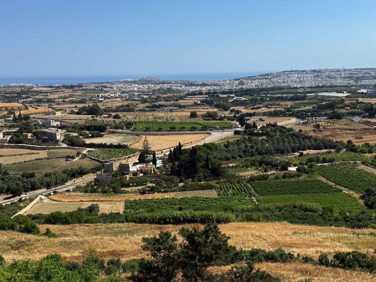 146 Mdina paysage vu des remparts IMG_1481