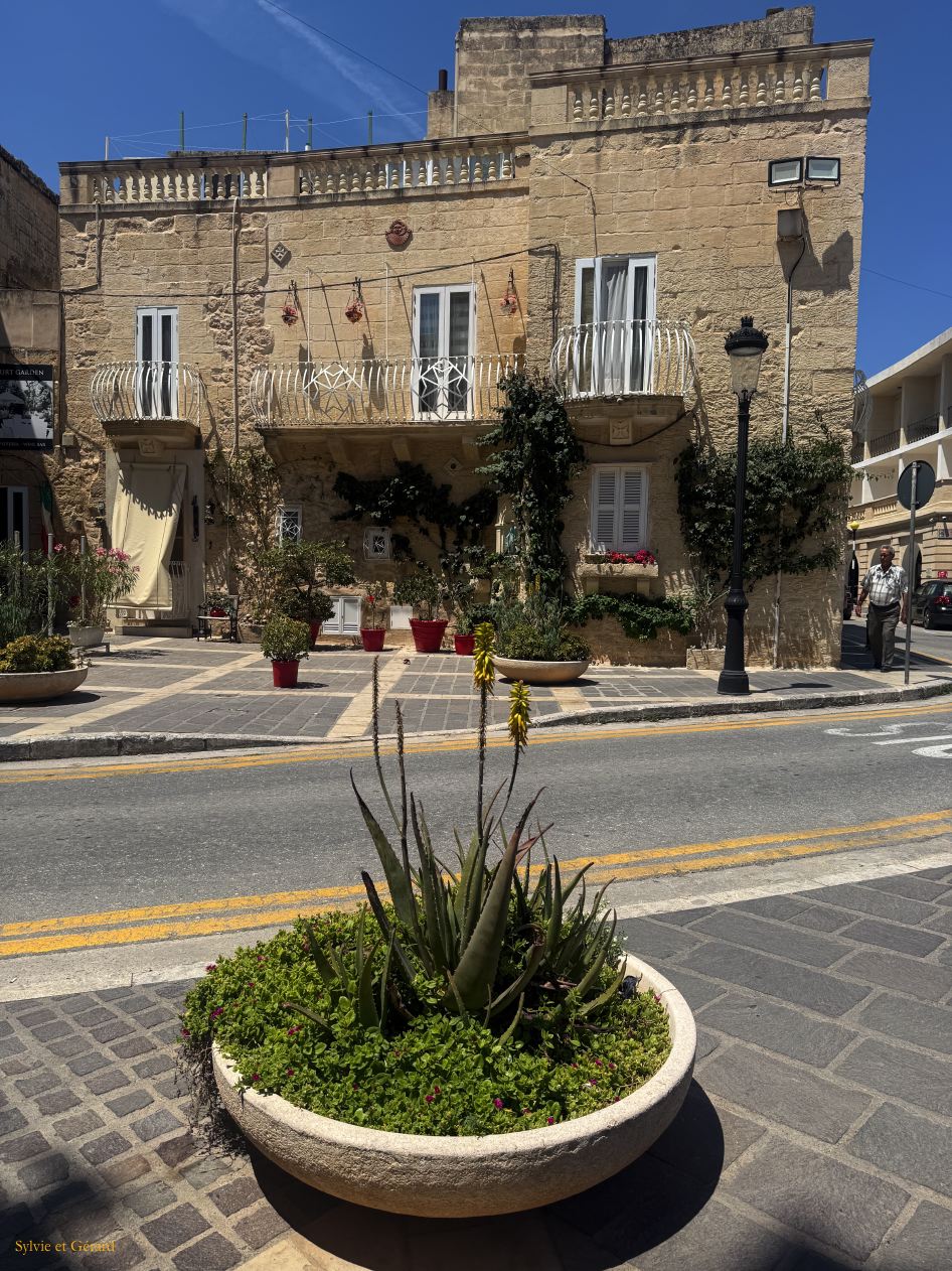 151 Rabat dans la ville IMG_1550