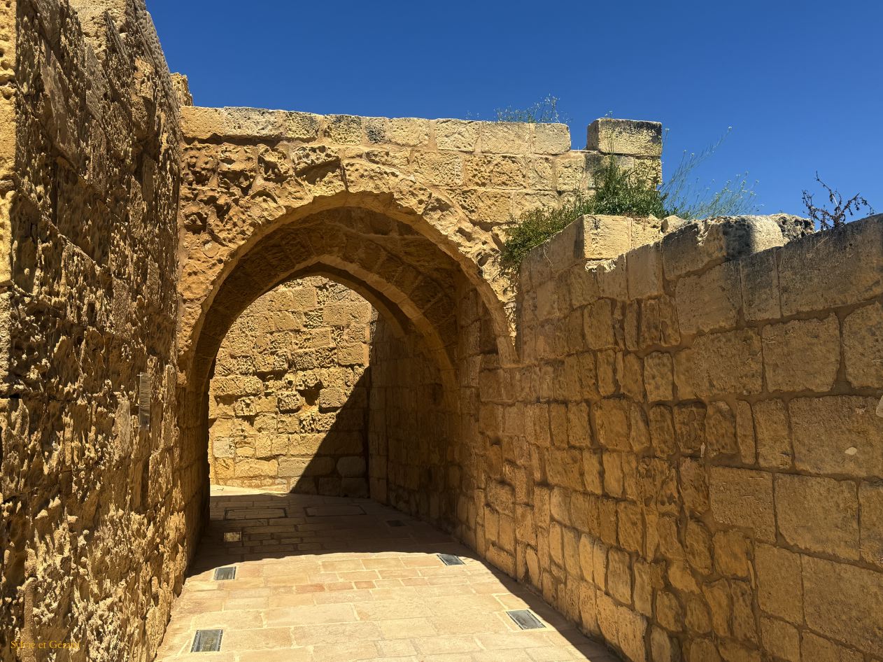 168 Gozo Victoria - la Citadelle IMG_1747