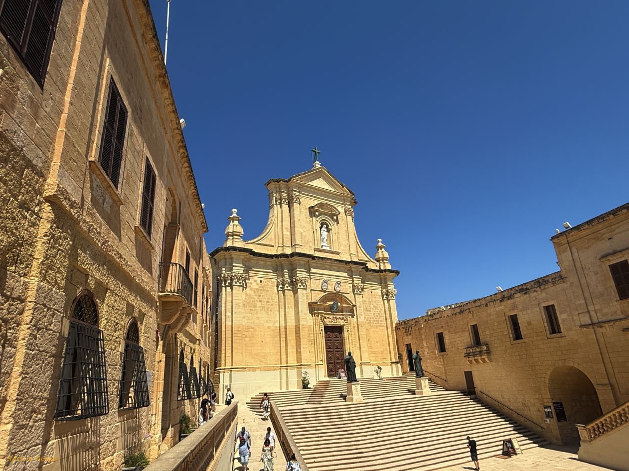 169 Gozo Victoria - la Citadelle la cathédrale IMG_1760