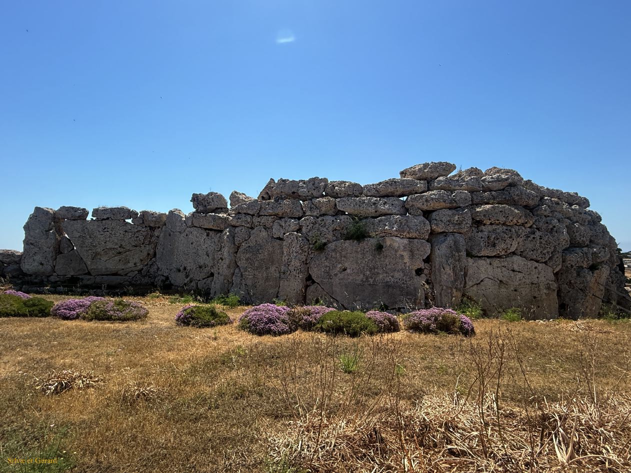 181 Gozo Xagha site de Ggantija IMG_1636