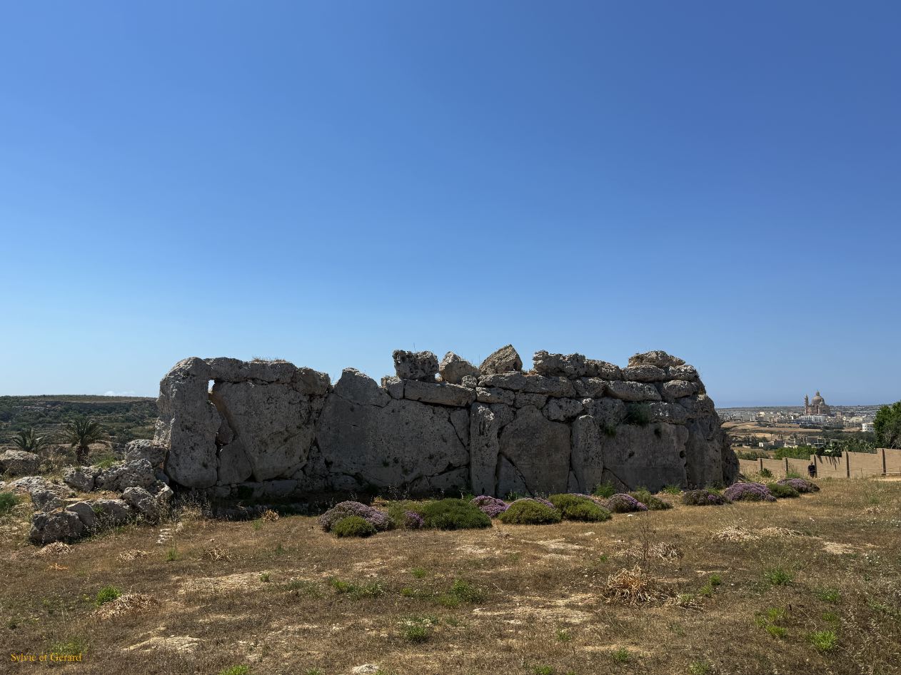 182 Gozo Xagha site de Ggantija IMG_1638