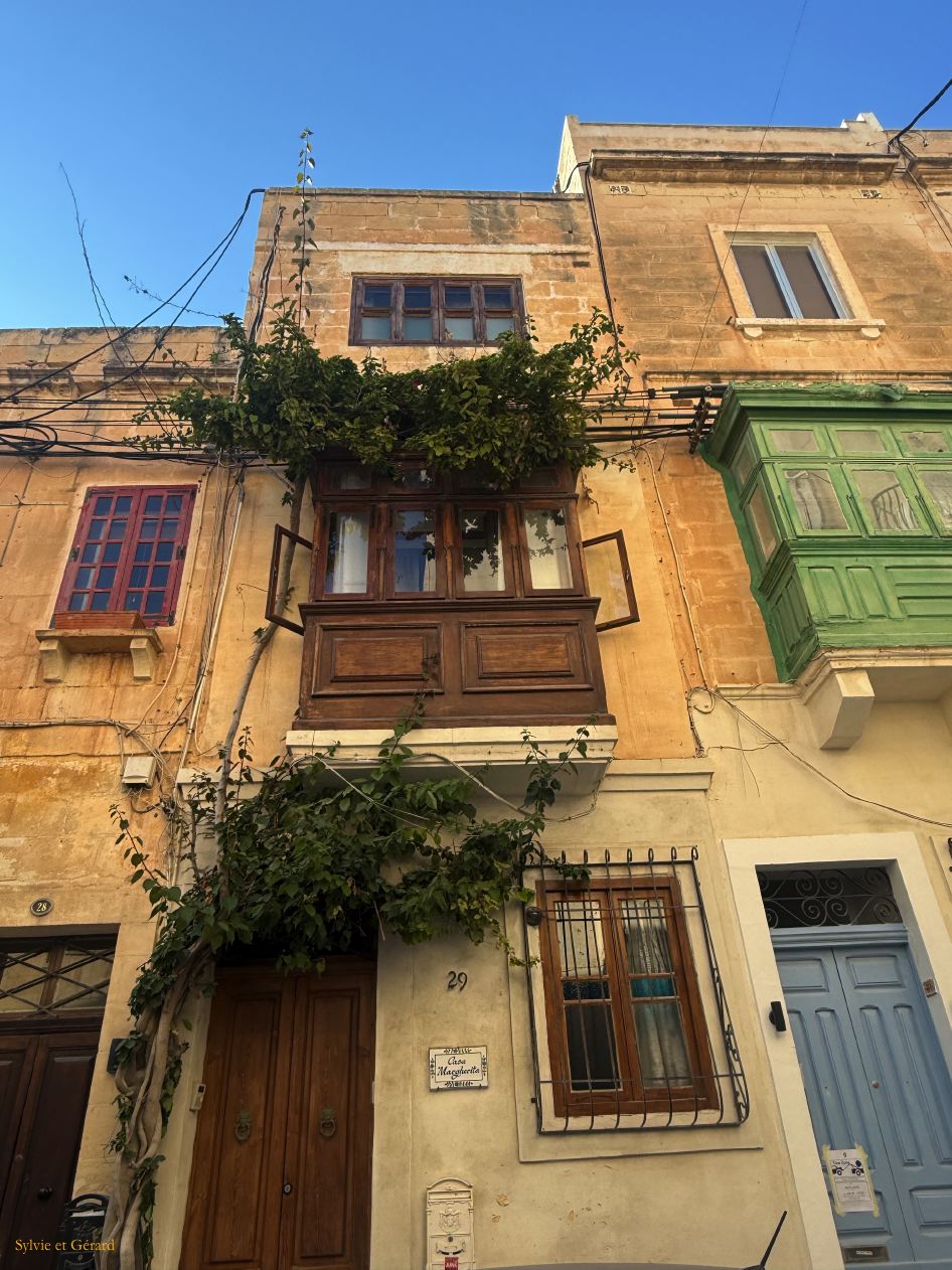 201  Sliema dans la ville IMG_1116