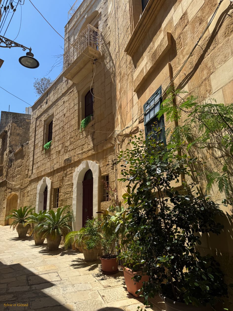 088 Vittoriosa _ Birgu dans la ville IMG_1333