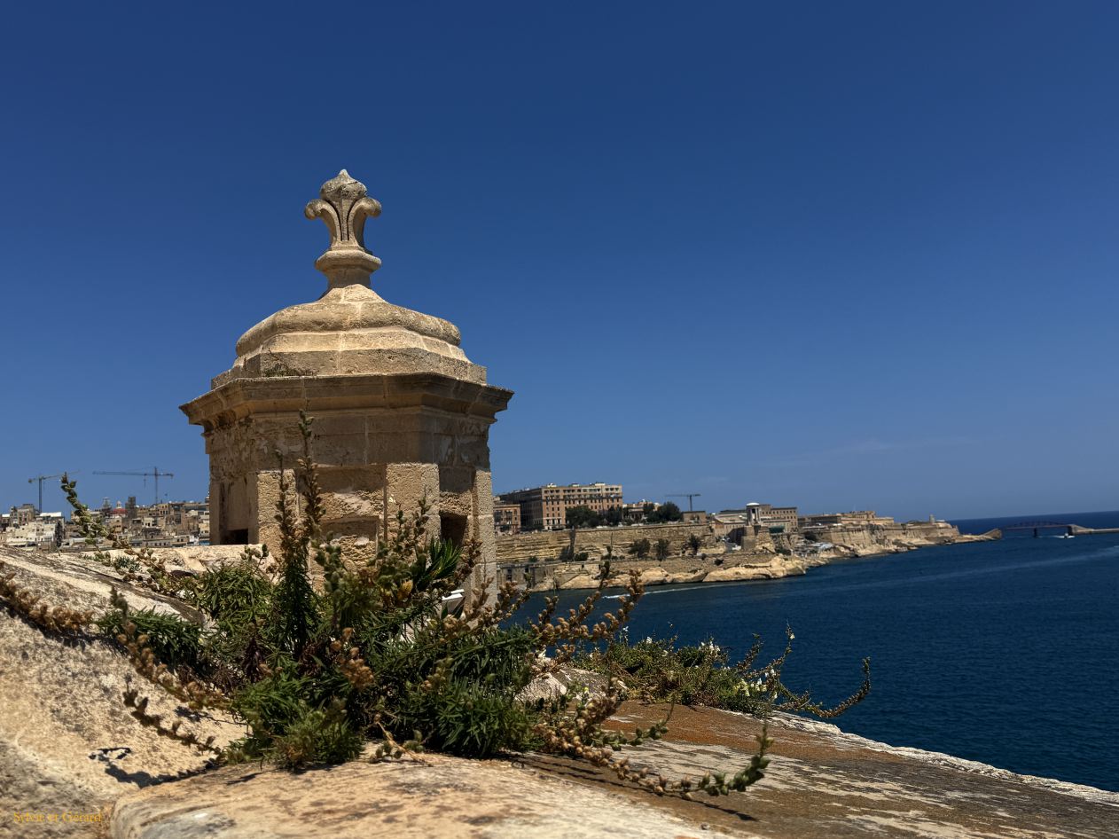090 Vittoriosa _ Birgu fort Saint Ange IMG_1343