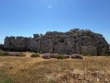 181 Gozo Xagha site de Ggantija IMG_1636