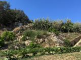 194 Gozo Mgarr Gozo IMG_1785