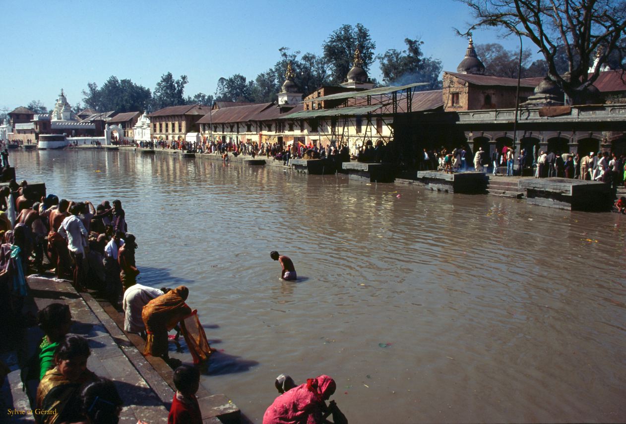 Katmandou temple de Pashupatinah  fleuve Bagmati Nepal 1993-044
