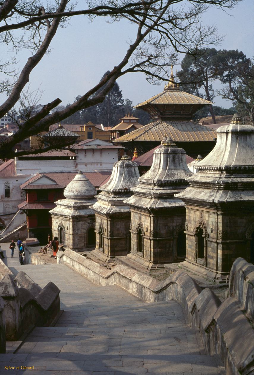 Katmandou temple de Pashupatinah  Nepal 1993-038