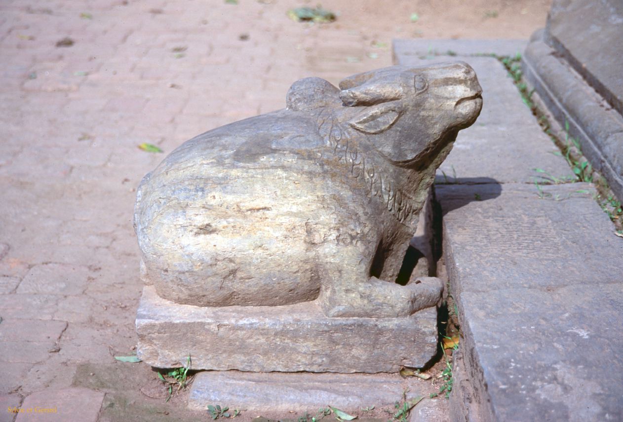Katmandou temple de Pashupatinah  Nepal 1993-043