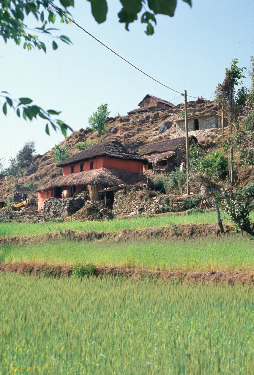 Pokhara cultures aux alentours Nepal 1993-115