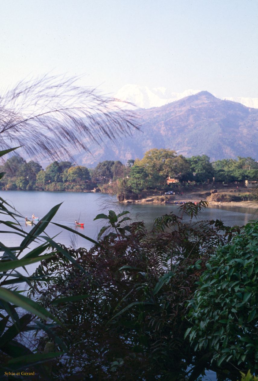 Pokhara lac Phewa Nepal 1993-125