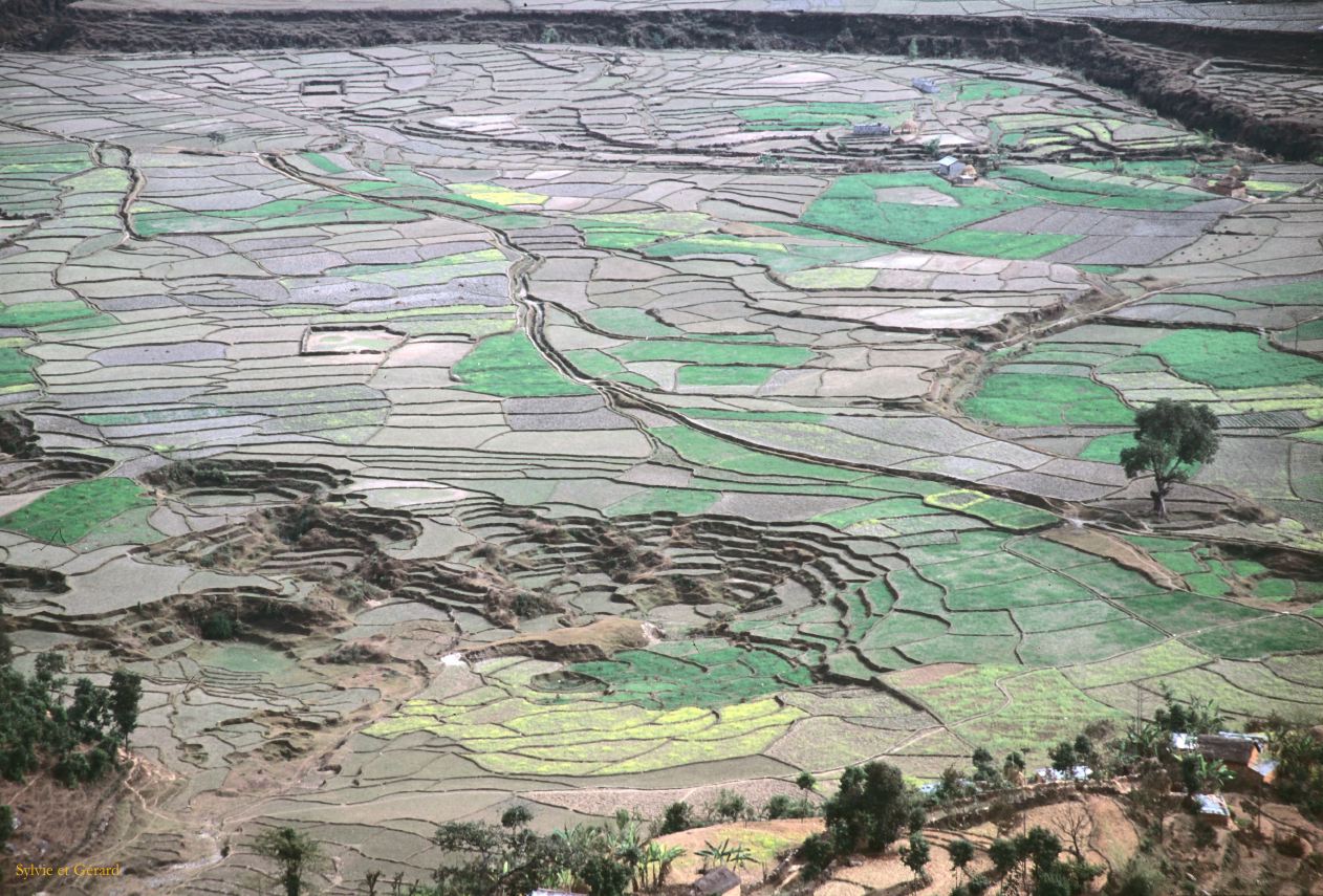 Pokhara les cultures aux alentours Nepal 1993-111