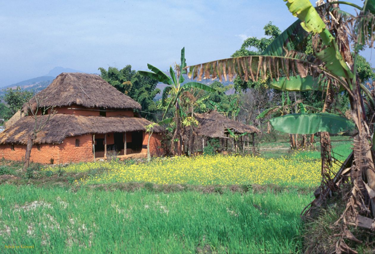 Pokhara sur les chemins de randonnée Nepal 1993-105