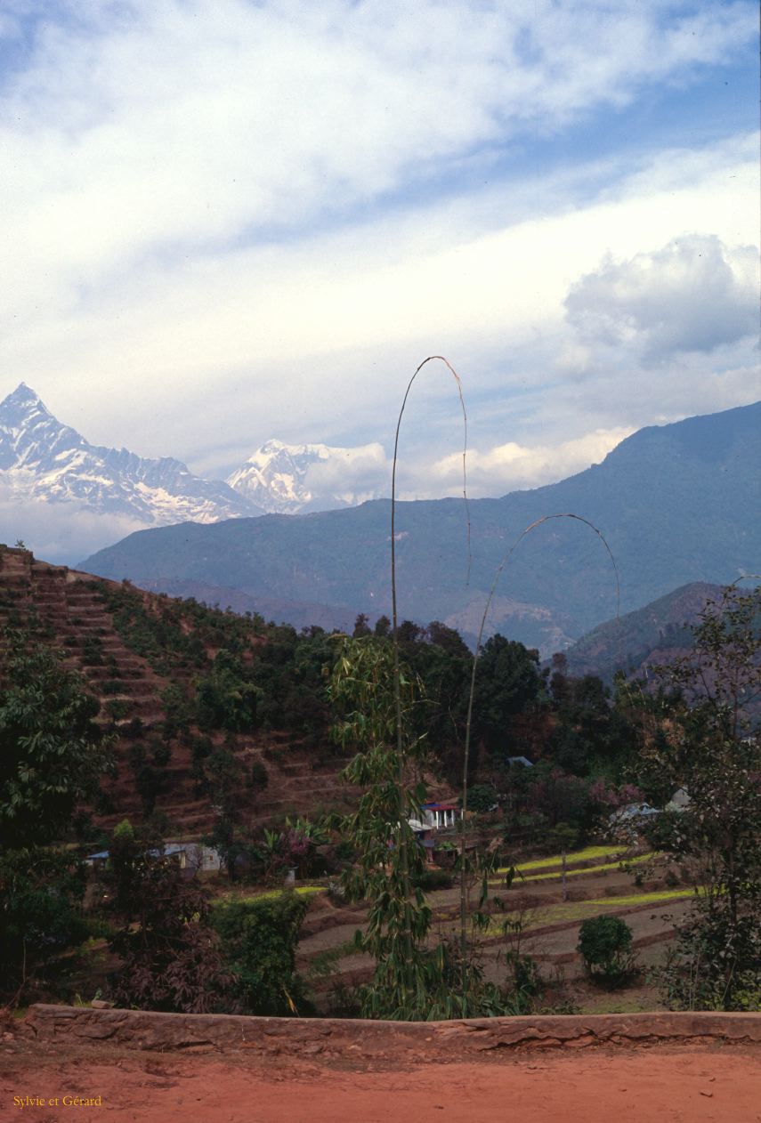 Pokhara sur les chemins de randonnée Nepal 1993-120