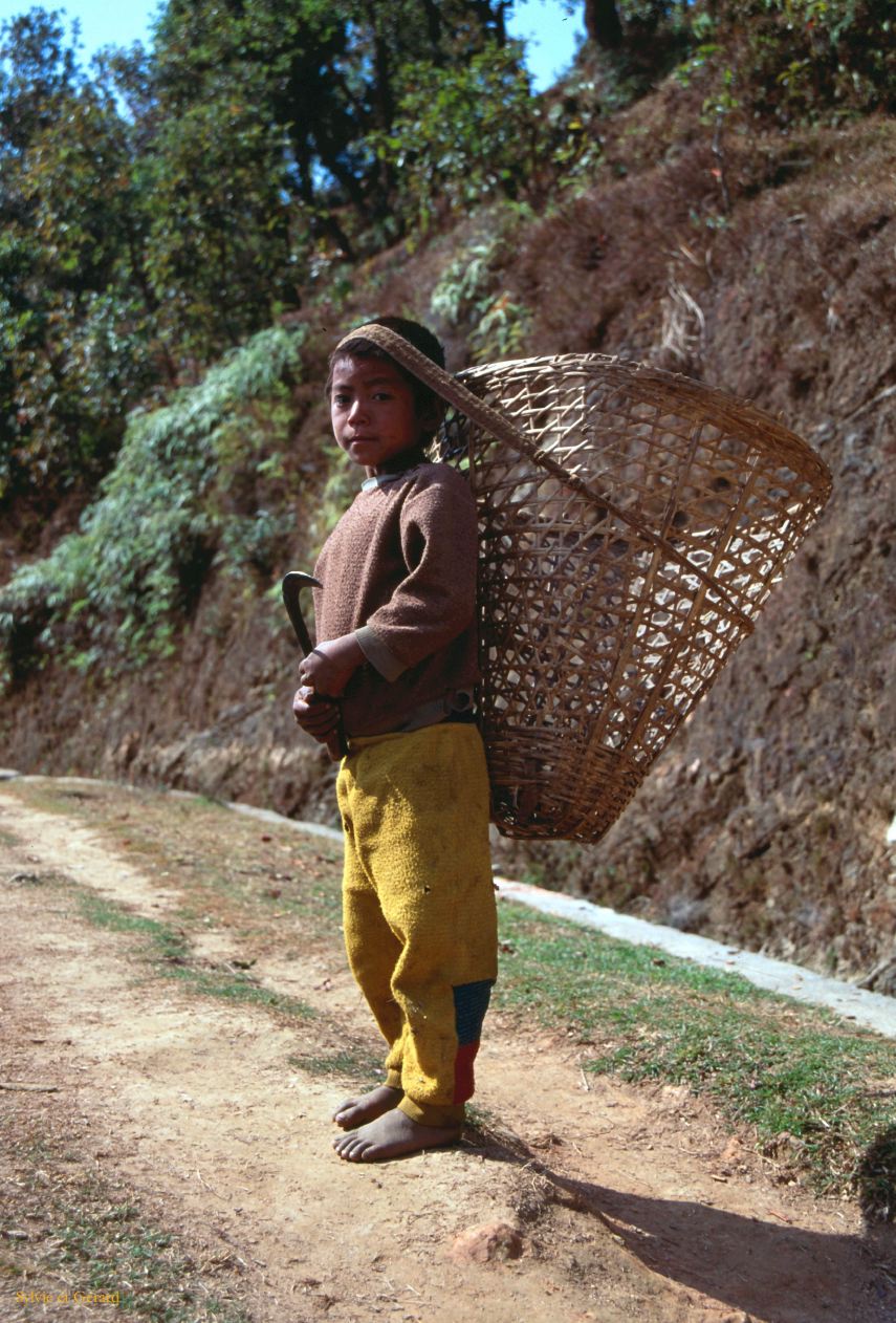 Pokhara sur les chemins de randonnée Nepal 1993-122