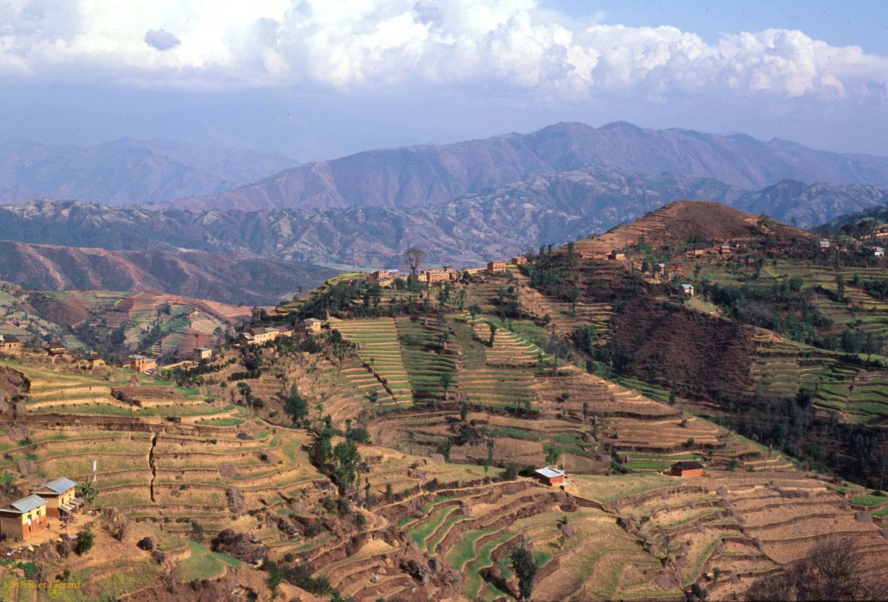 Sangkhu Namo Buddha sur la route des cultures en terrasse Nepal 1993-216