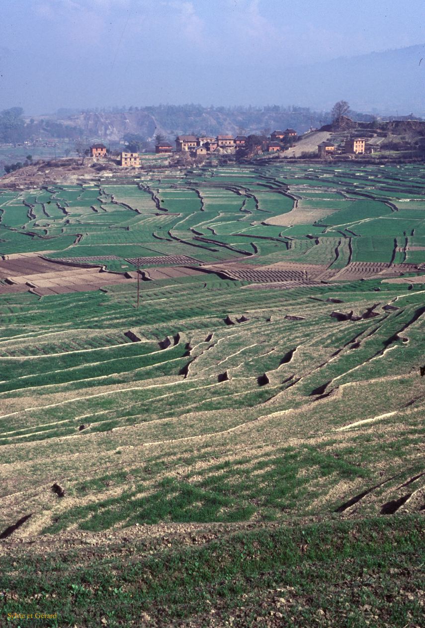 Sangkhu Namo Buddha Trangu Tashi Yangtse Monasterysur la route Nepal 1993-212