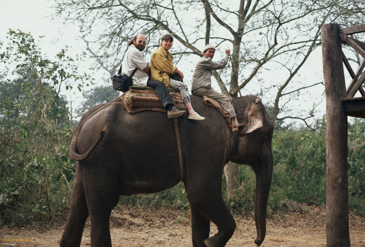 Teraï parc Chitwan  Nepal 1993-133 nous sur le dos del'éléphant
