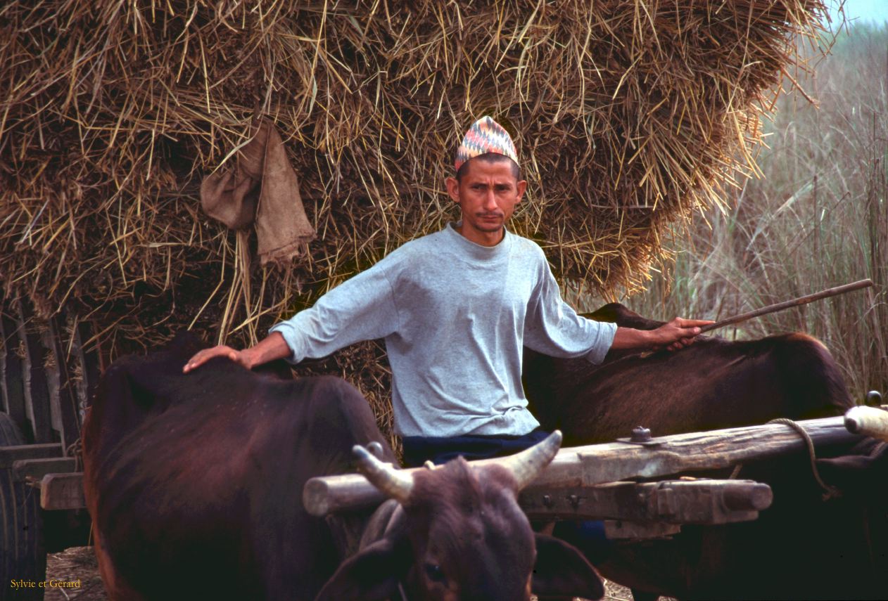 Teraï parc Chitwan village Tharu Nepal 1993-140