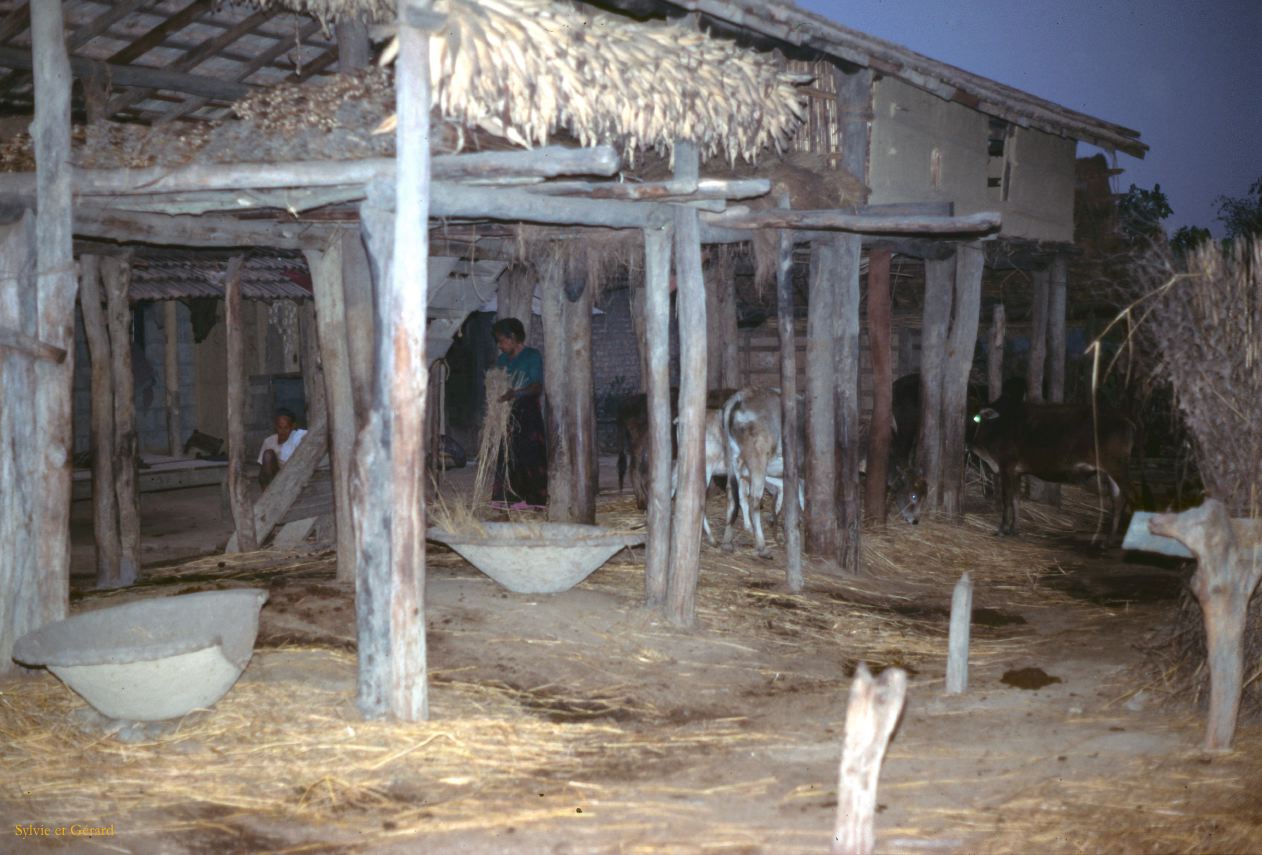 Teraï parc Chitwan village Tharu Nepal 1993-145